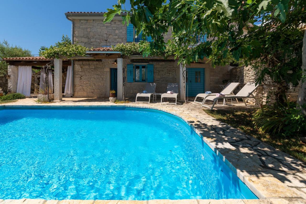 Villa Janko Sveti Lovreč Pazenatički Dış mekan fotoğraf