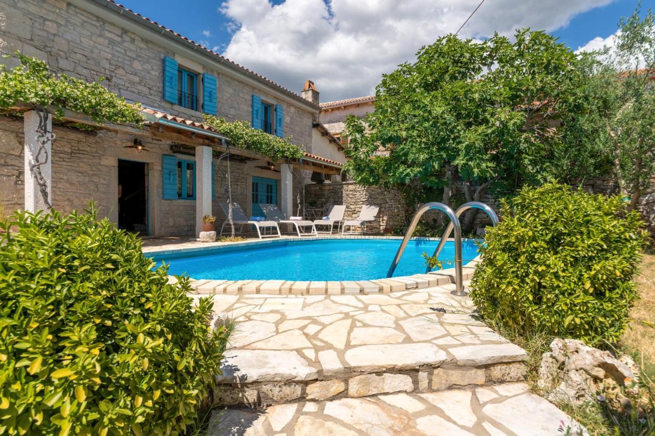 Villa Janko Sveti Lovreč Pazenatički Dış mekan fotoğraf