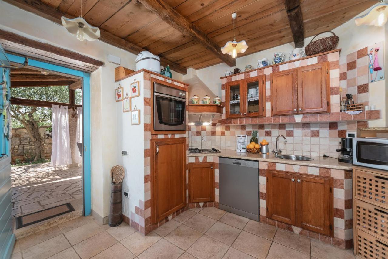 Villa Janko Sveti Lovreč Pazenatički Dış mekan fotoğraf