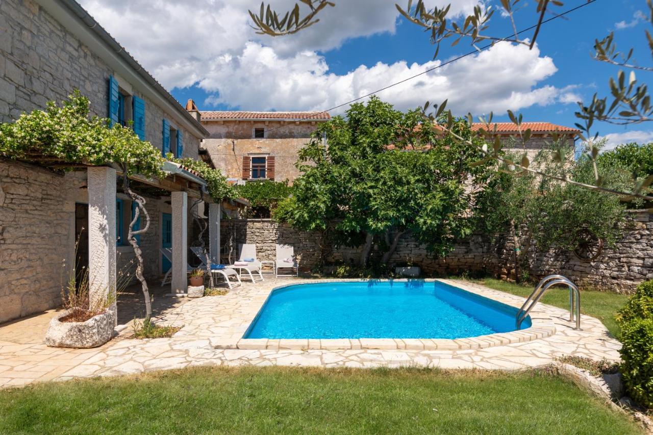 Villa Janko Sveti Lovreč Pazenatički Dış mekan fotoğraf